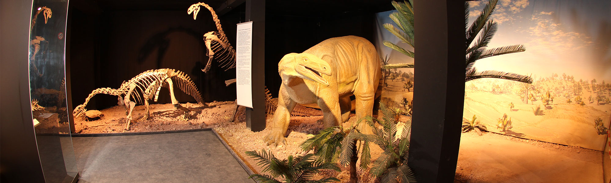 museum-auberlehaus-trossingen-dinosaurier-headerbild