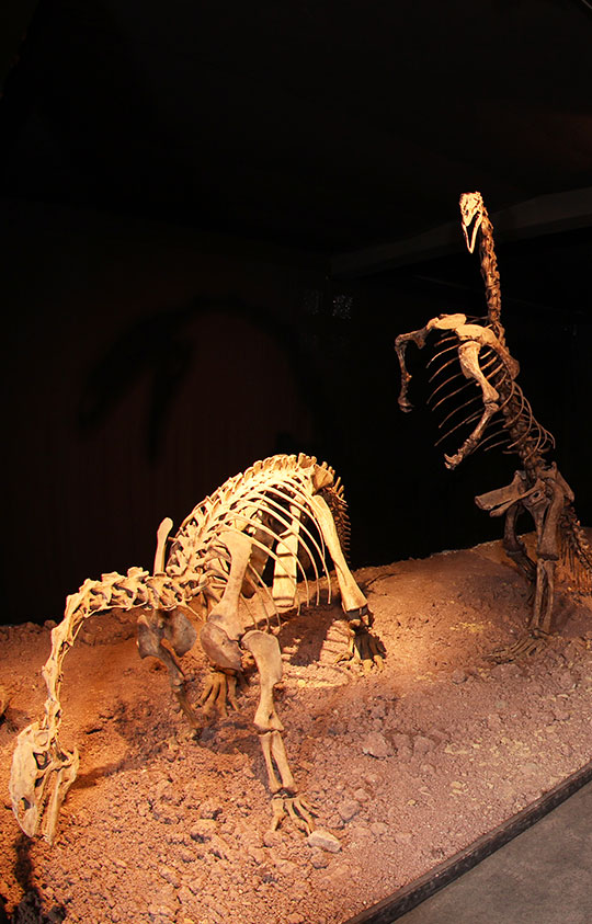 museum-auberlehaus-trossingen-dinosaurier-homeseite