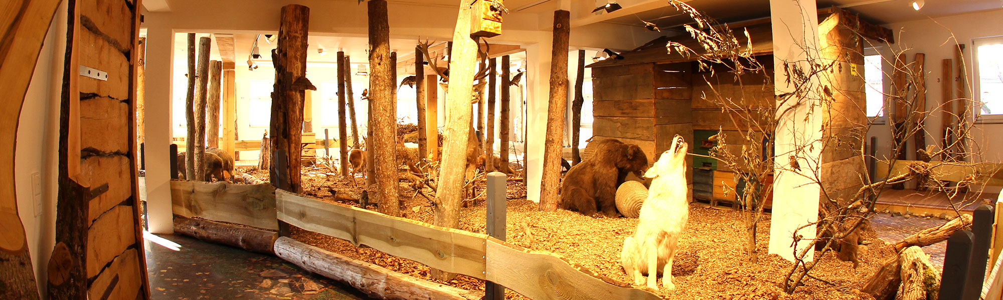 museum-auberlehaus-trossingen-naturraeume-headerbild